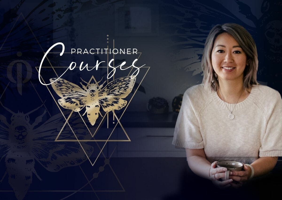 practitioner courses