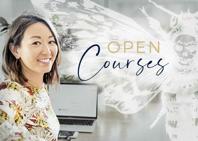 Open to all courses